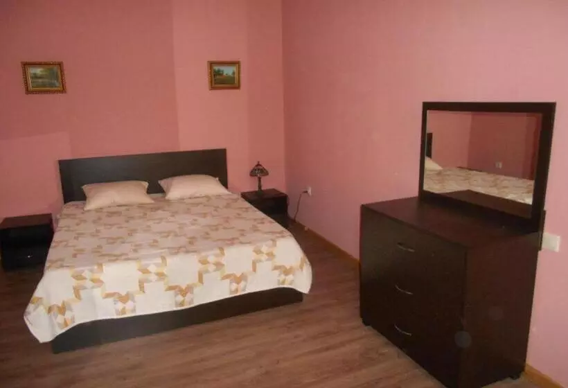 پانسیون сolibri