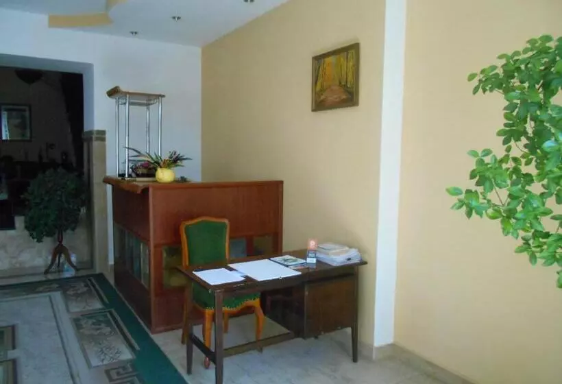 پانسیون сolibri