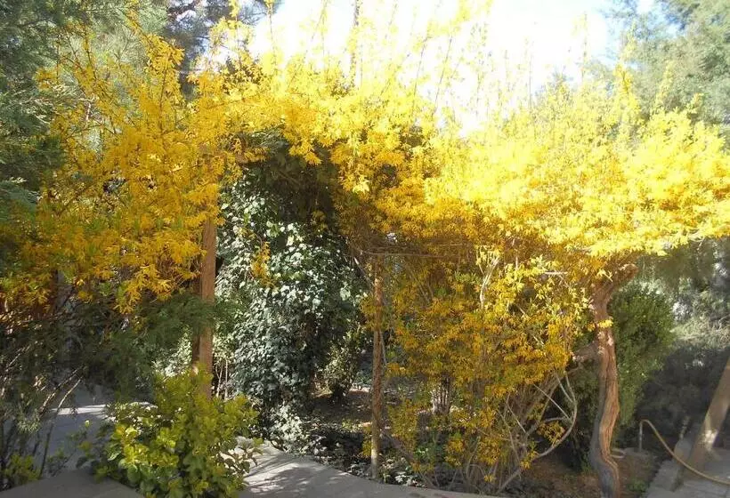 پانسیون сolibri