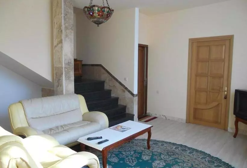 پانسیون сolibri