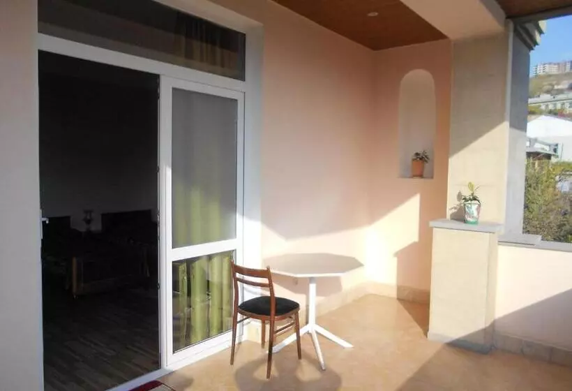 پانسیون сolibri