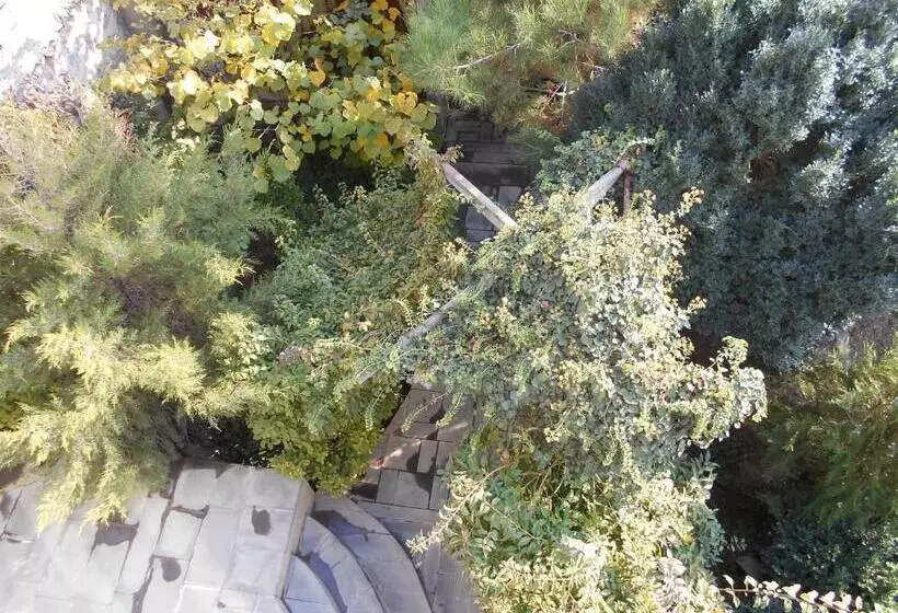 پانسیون сolibri