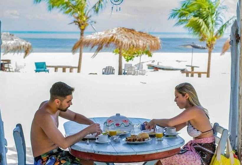 پانسیون Vivenda Da Terra