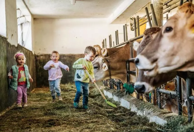 ホテル Linharterhof