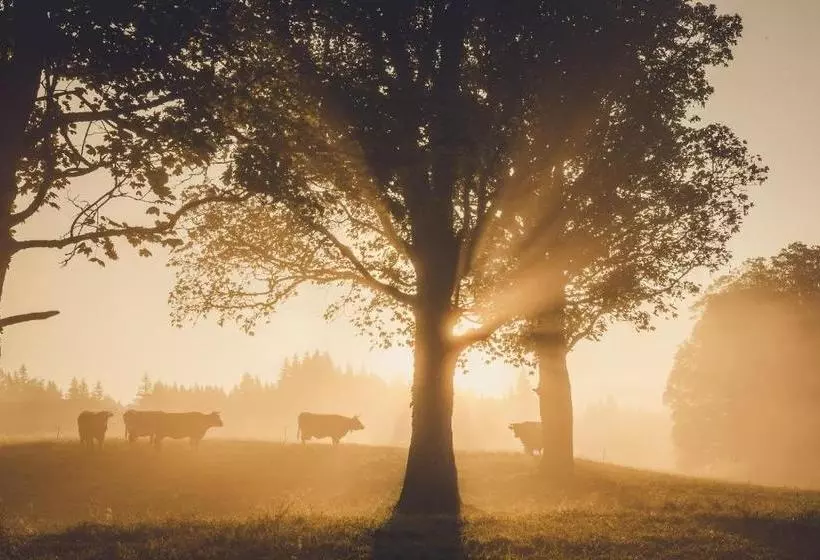 ホテル Linharterhof