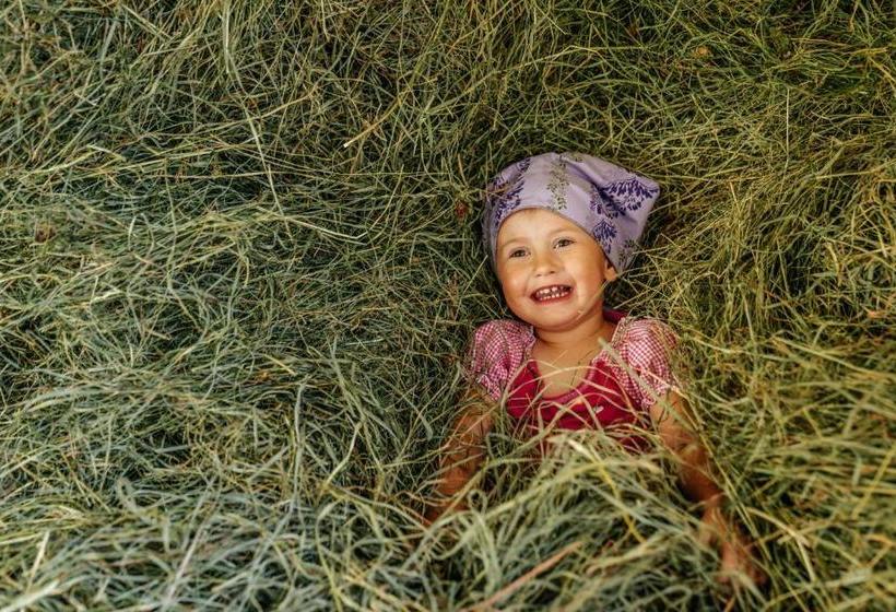 فندق Linharterhof