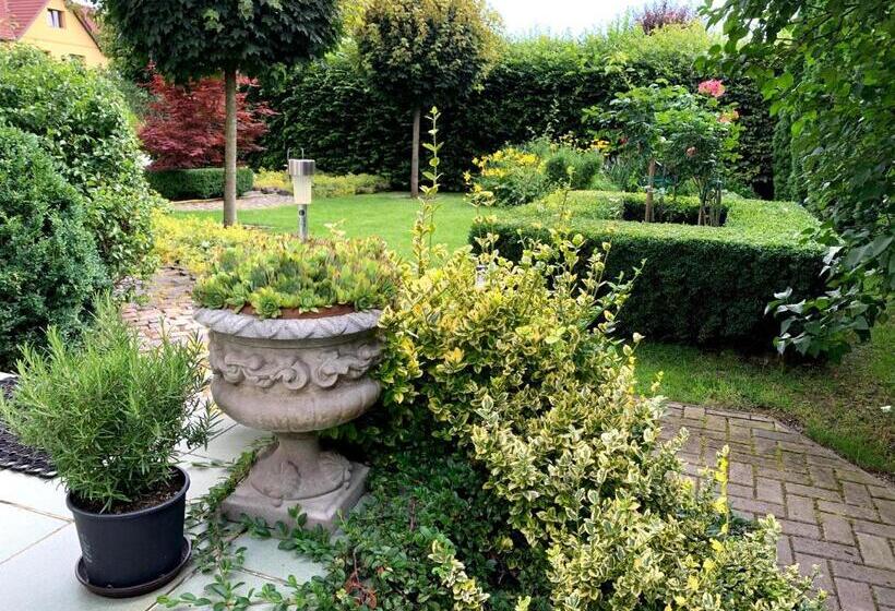 Пансион Casa Petri