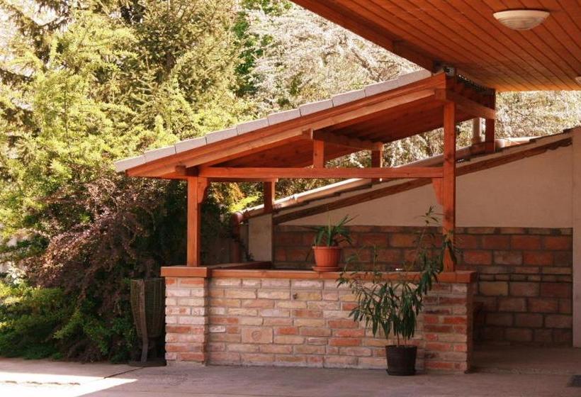 بنسيون Motel 60