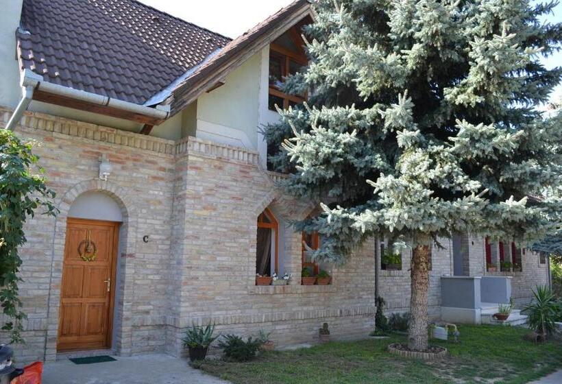 Пансион Petra Vendégház