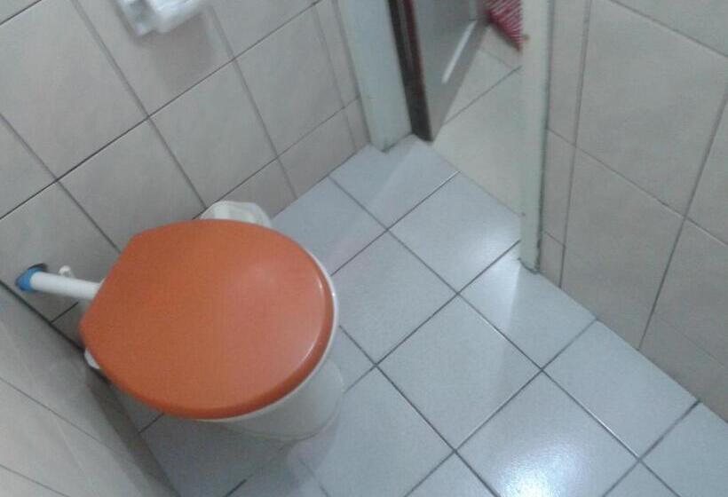 Пансион Pousada São Francisco De Paula