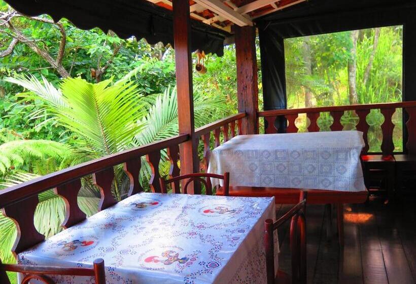 Пансион Pousada São Francisco De Paula