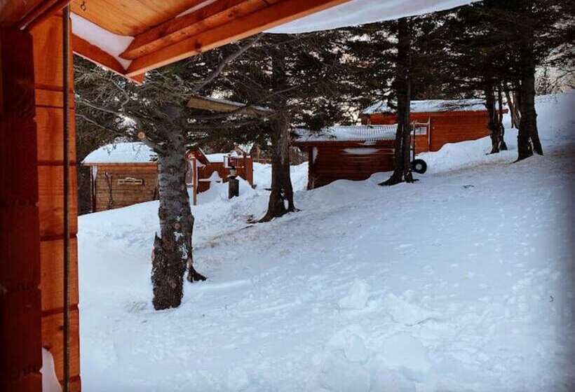 پانسیون The Herring House