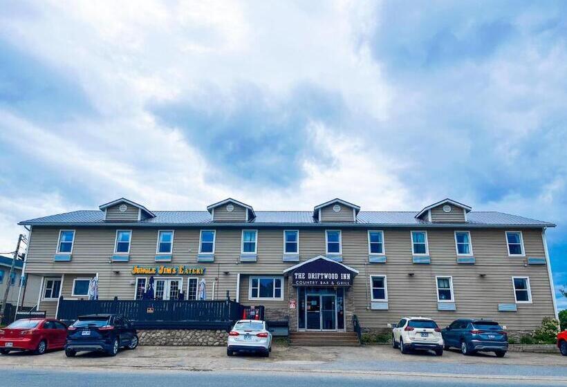 הוסטל Driftwood Inn