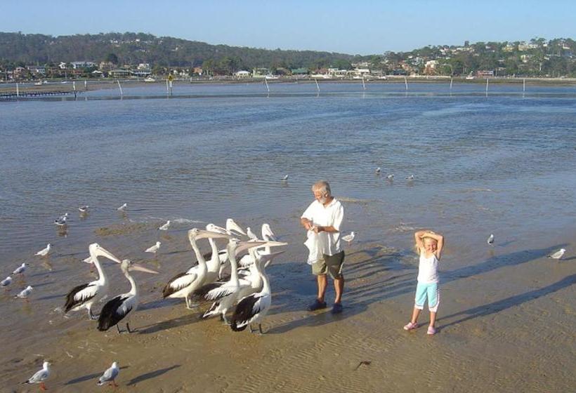 Nautilus Apartments Merimbula