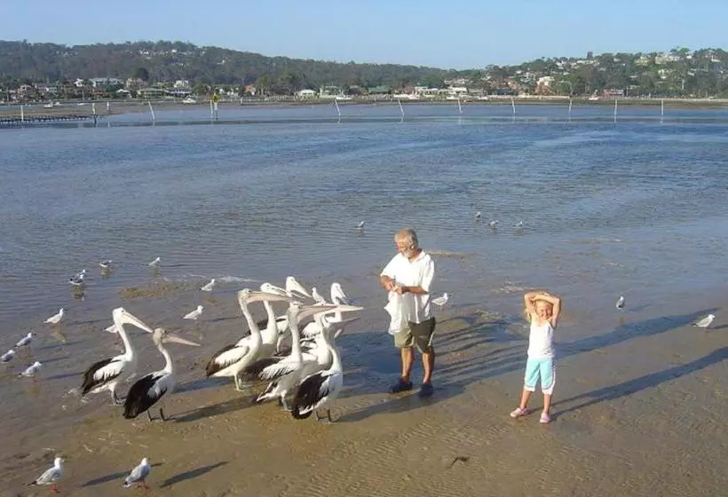 Nautilus Apartments Merimbula