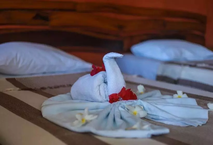 ペンション E Pousada Tropical Wind Do Cumbuco