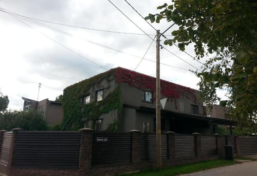 펜션 Eha Suija Home Accommodation