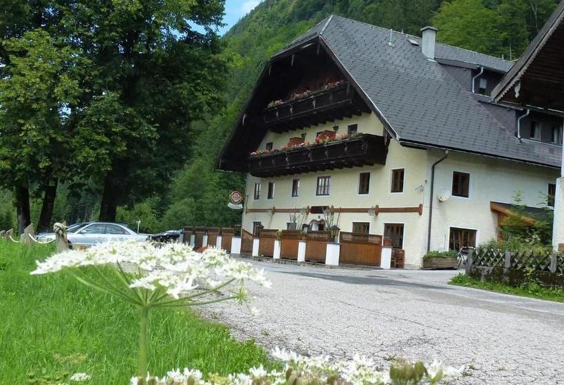 ペンション Gasthof Steinbräu