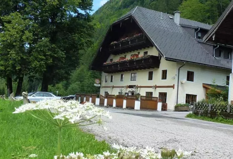 ペンション Gasthof Steinbräu