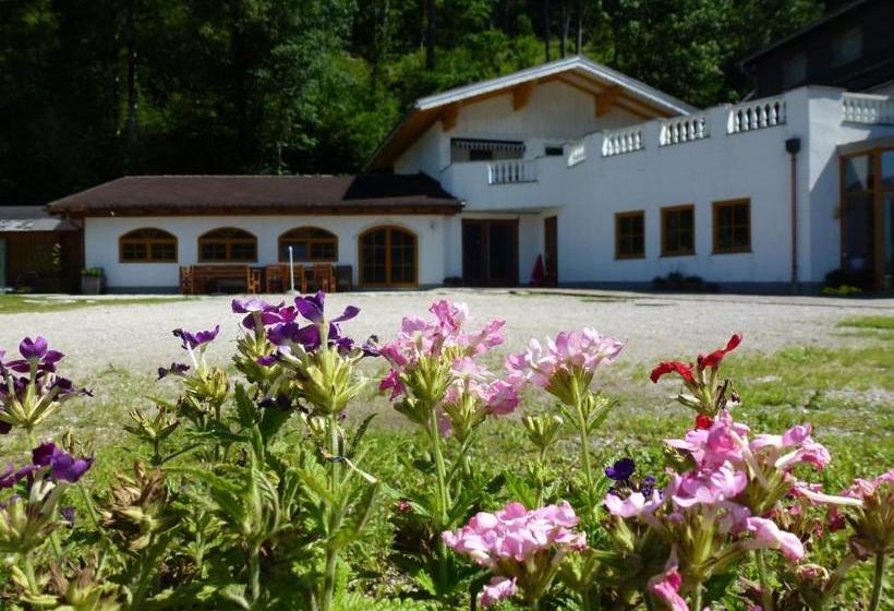 ペンション Gasthof Steinbräu