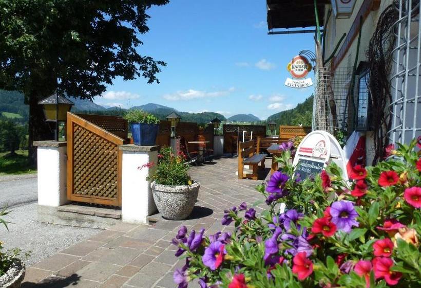 ペンション Gasthof Steinbräu