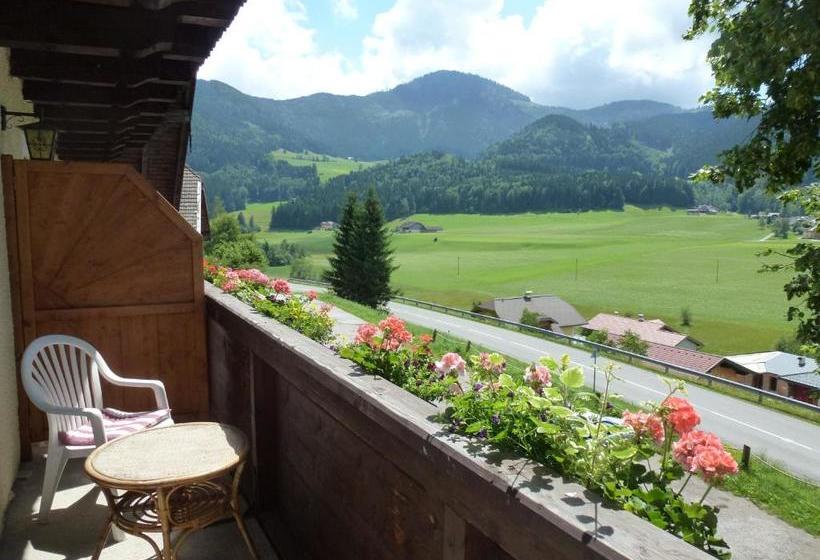 ペンション Gasthof Steinbräu