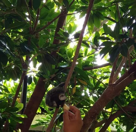 ペンション Pousada Costa Tropical