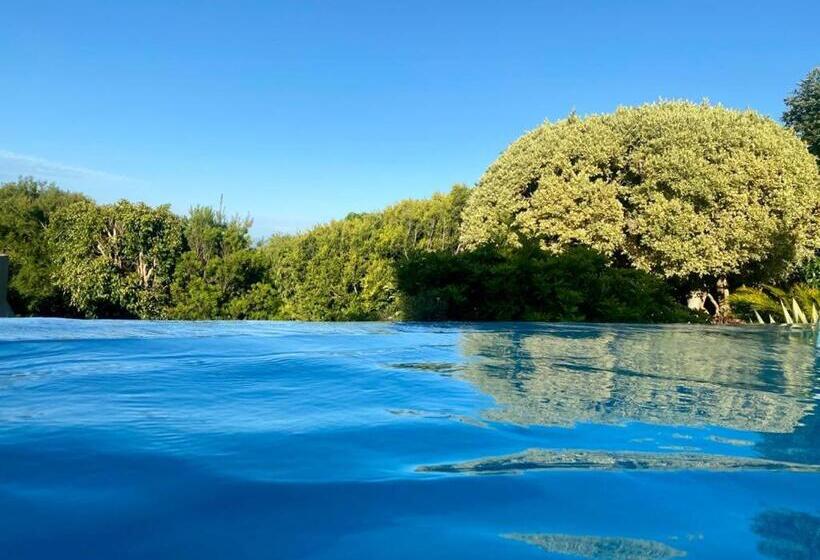 פנסיון The Ocean Bay Luxury Guesthouse