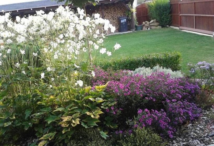 بنسيون Tip Top Lak Vendégház