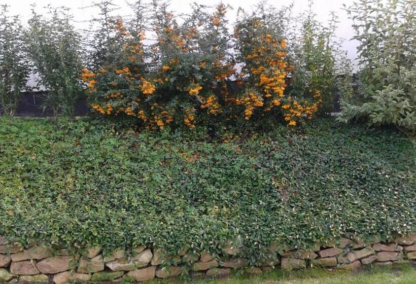 بنسيون Tip Top Lak Vendégház