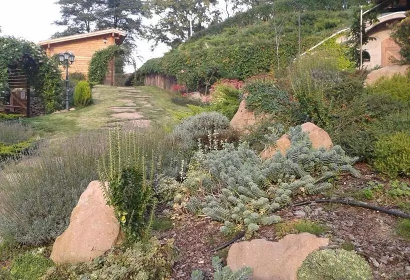 ペンション Tip Top Lak Vendégház