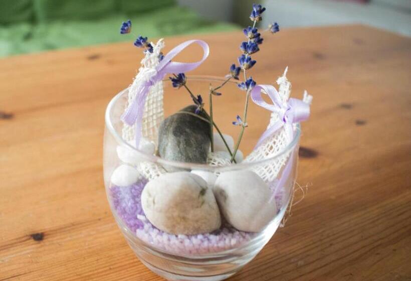 هاستل Travellers' Haven