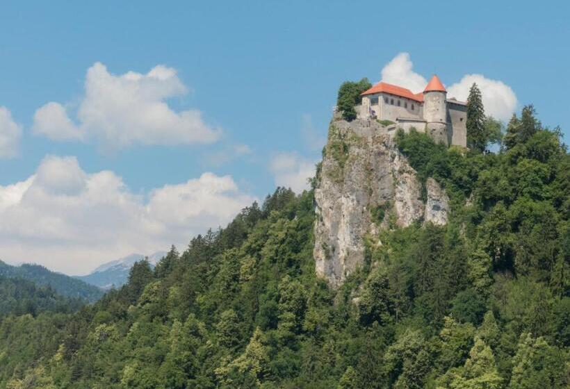 هاستل Travellers' Haven