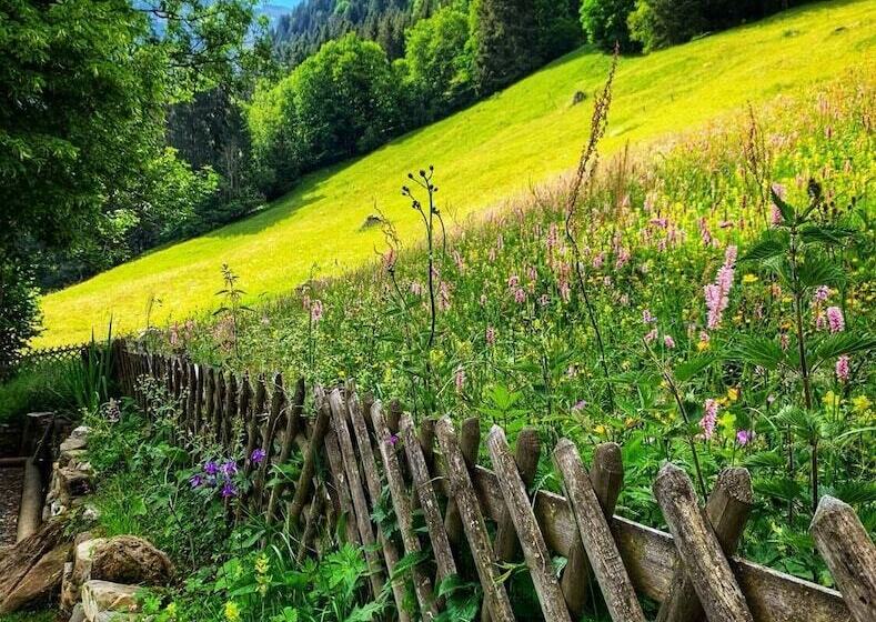 Hotel Guest House Du Grand Paradis On Piste