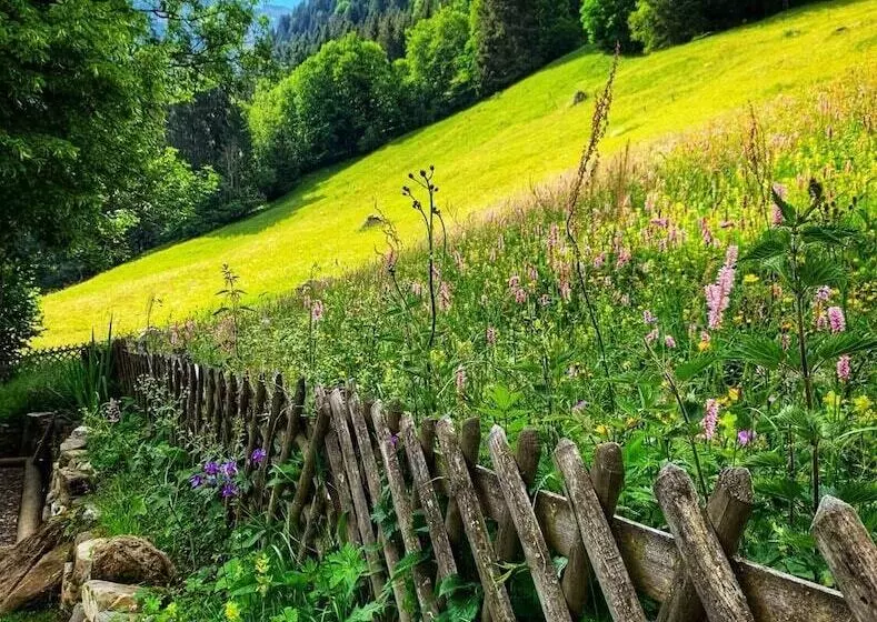 Hotelli Guest House Du Grand Paradis   On Piste