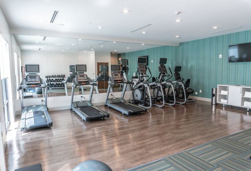 فندق Holiday Inn Express & Suites Birmingham   Homewood By Ihg