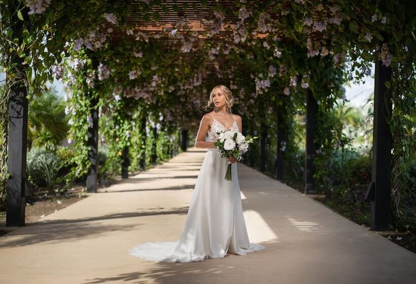 فندق Live Aqua Punta Cana   All Inclusive - Adults Only