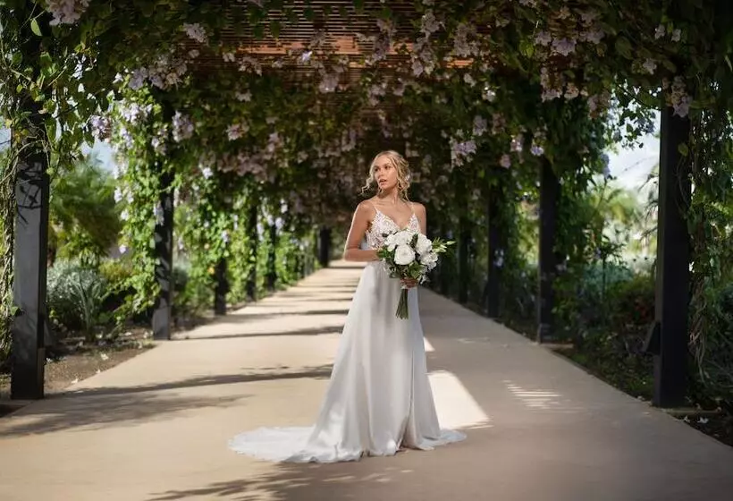 ホテル Live Aqua Punta Cana   All Inclusive - Adults Only