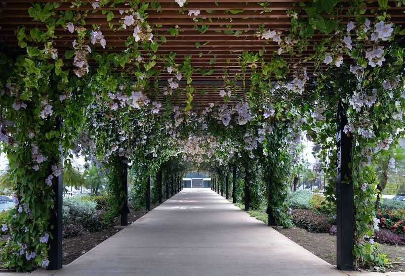 فندق Live Aqua Punta Cana   All Inclusive - Adults Only