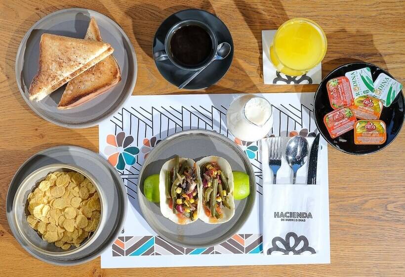 בית מלון כפרי Metropole Urban