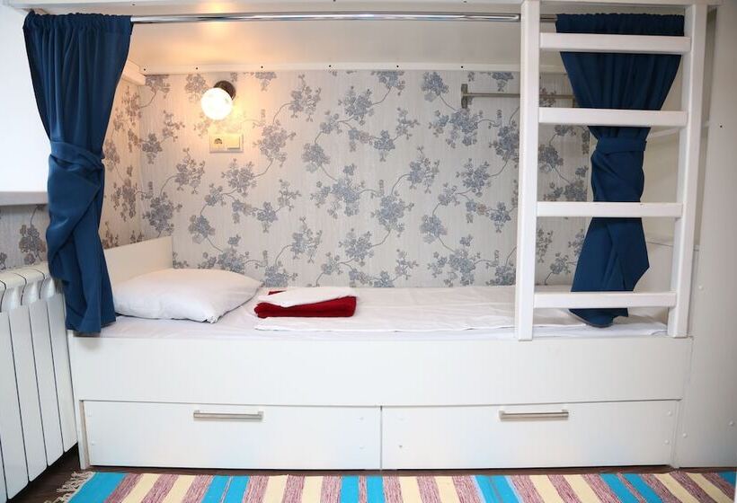 Mini Hotel Artist On Baumanskaya   Hostel