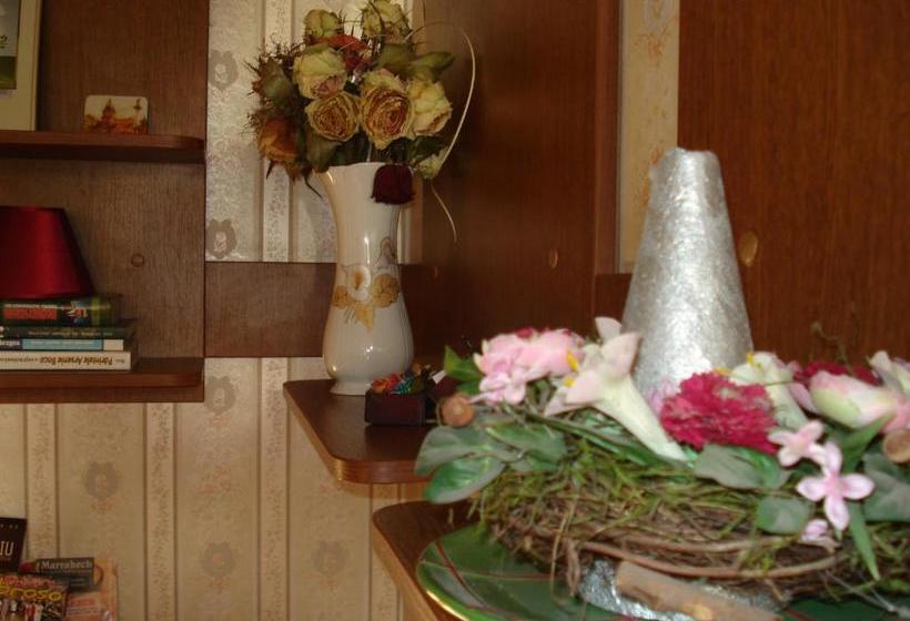 بنسيون Villa Edel Constanta