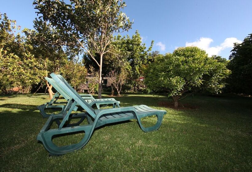 تختخواب و صبحانه Casa Do Ribeirinho