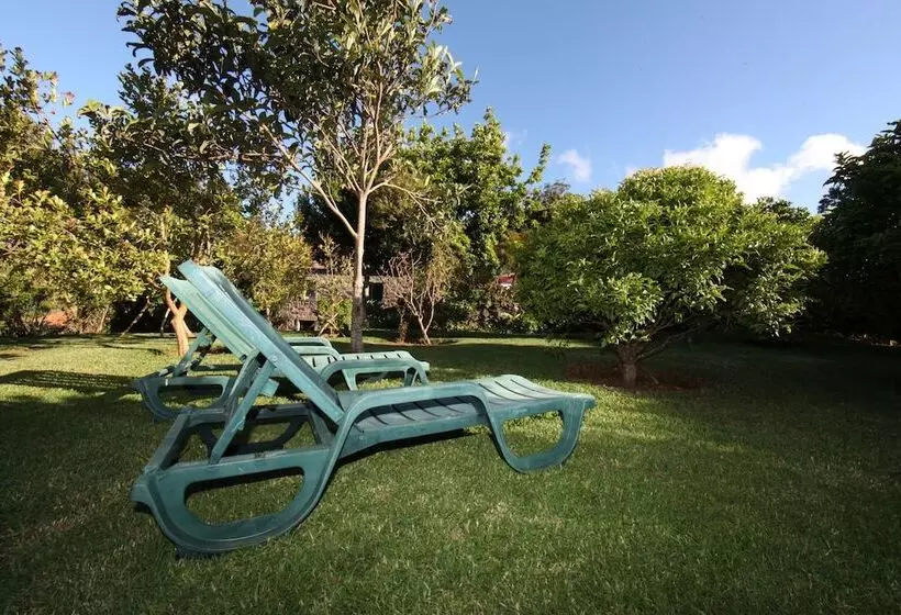 Aamiaismajoitus (B&B) Casa Do Ribeirinho