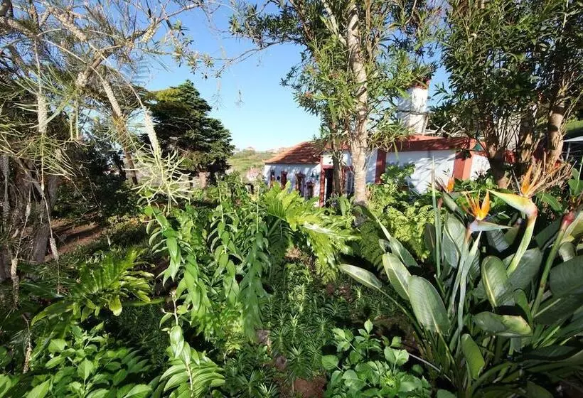 Aamiaismajoitus (B&B) Casa Do Ribeirinho