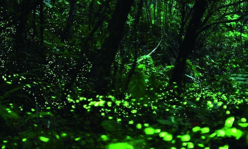 هتل West Lake Resortopia