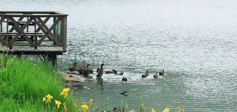 هتل West Lake Resortopia