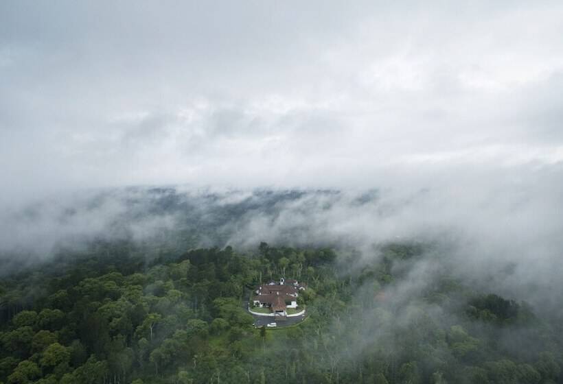 酒店 Ama Plantation Trails , Coorg