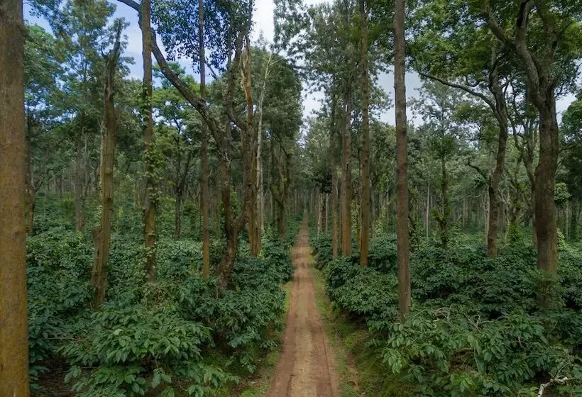 ホテル Ama Plantation Trails , Coorg