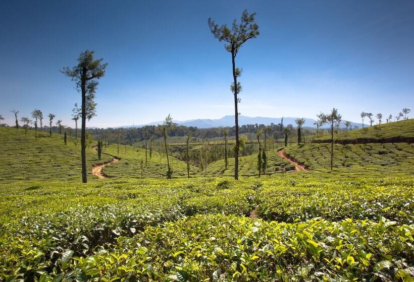 酒店 Ama Plantation Trails , Coorg